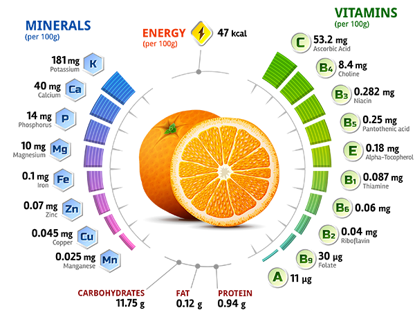 Minerals Energy Vitamins